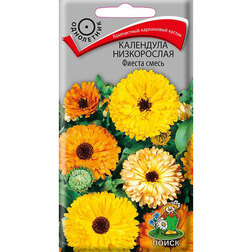 ���������� ��������� ����������� ������ �����  