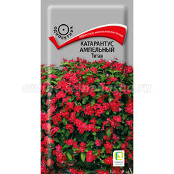 ���������� ���������� ��������� �����  