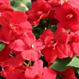 ���������� ��������� �������� ����� ��� (1��-1000��)  