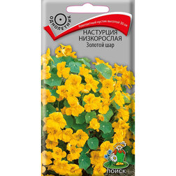 ���������� ��������� ����������� ������� ��� (���� ������. �� ����� 2024 �)  