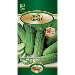 ���������� ������ ���� F1  