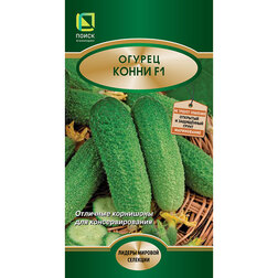 ���������� ������ ����� F1  