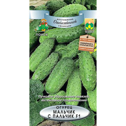 ���������� ������ ������� � ������� F1  