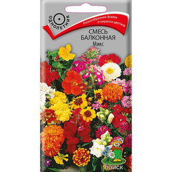 ���������� ����� ��������� ����  