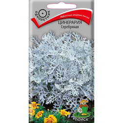 ���������� ��������� ����������  