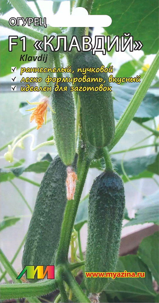 ���������� ������ ������ ������ ����������� ������ ������� F1, 8 ��.  