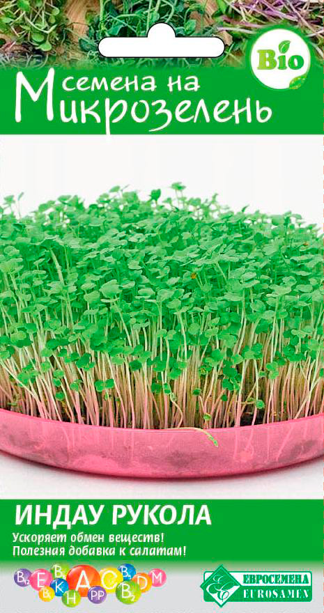 ���������� ������ ���������� ����������� ����� (������), 5 �  