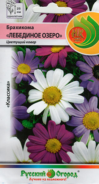 ���������� ������ ������� ������ ��������� ��������� �����, �����, 0,1 �  