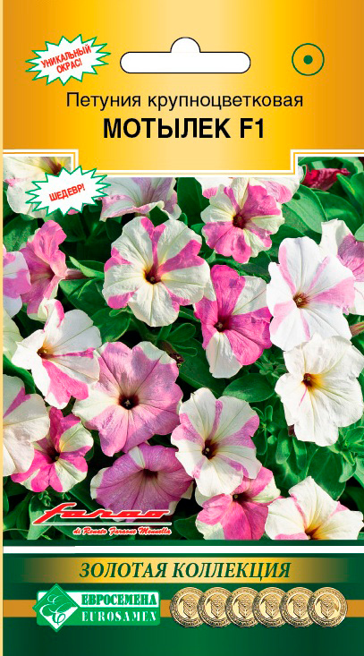 ���������� ������ ���������� ������� ��������������� ������� F1, 5 ����� ������� ���������  