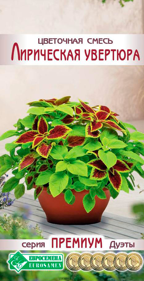 ���������� ������ ���������� ��������� ����� ���������� ��������, 4 ����� ������� ����  