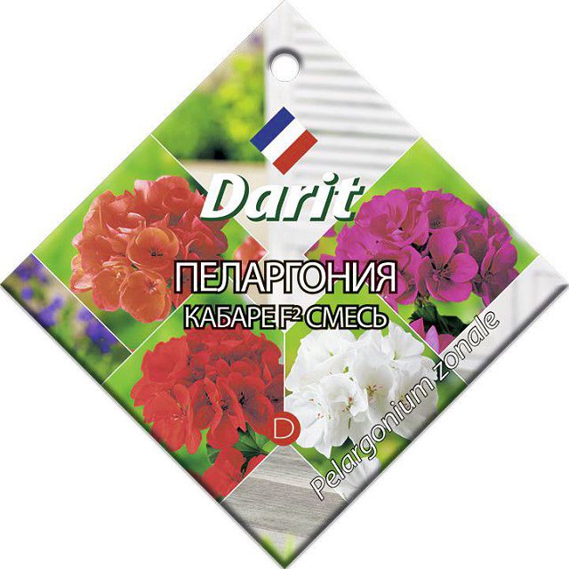 ���������� ������ ���������� DARIT ������ ����� F2 4��  