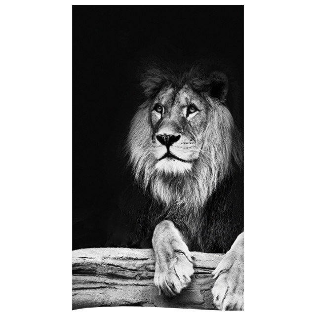 ���������� ��������� ��� ������ 180�200�� Lion ���������  