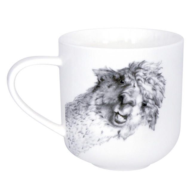 ���������� ������ QUINSBERRY Llama 450�� ������  