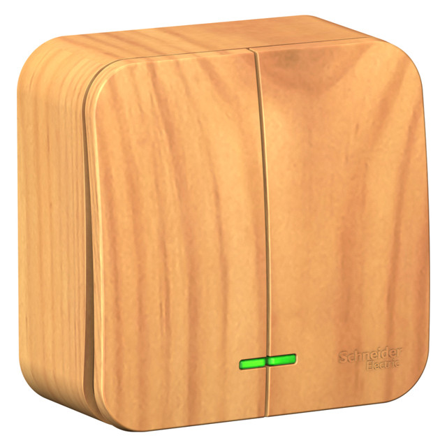 ���������� ����������� 2-��������� SYSTEME ELECTRIC Blanca 10A �/� �����  