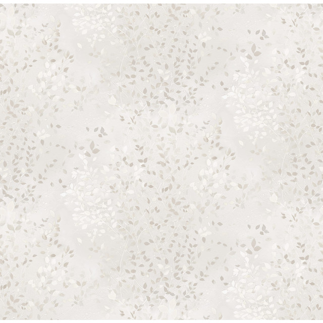 ���������� ���� VICTORIA STENOVA ��������� �� ������������ ������ 10,05�1,06�, ���.587692  