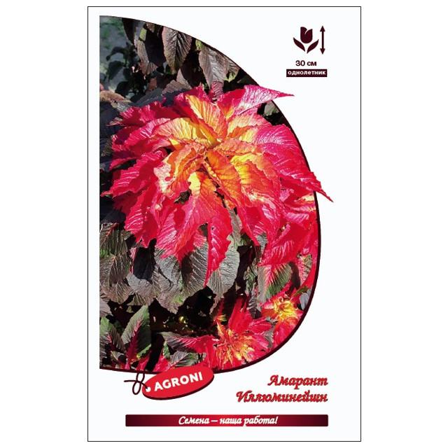 ���������� ������ ������� ����������� ������ 0,1�  