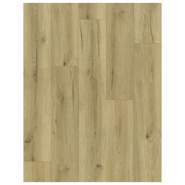 ���������� ������ SPC BESTENHAUS ����� �������� 1220�180�5�� IXPE 1�� 2,635�2  