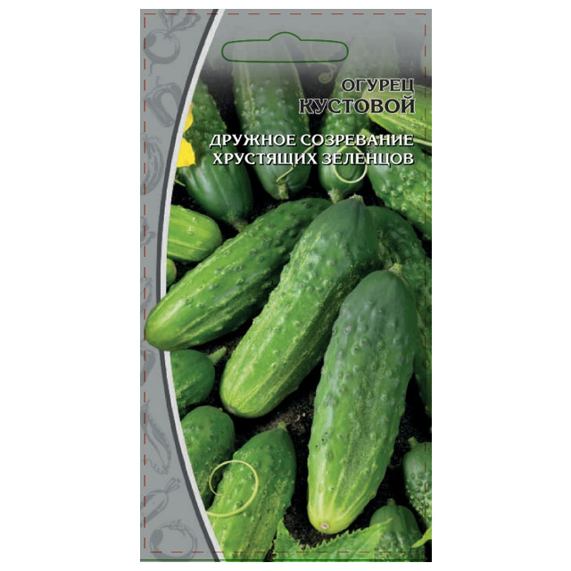 ���������� ������ ������ �������� 0,25� ��/�  