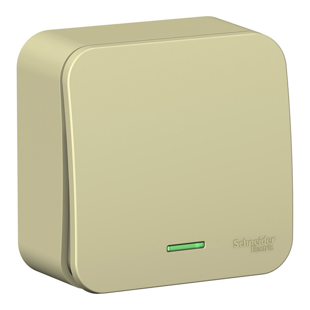 ���������� ����������� 1-��������� SYSTEME ELECTRIC Blanca 10� �/� �������  