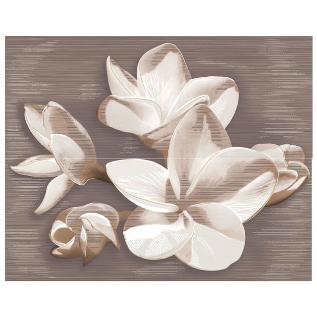 ���������� ����� ��������� AZORI Amati plumeria alba (�� 2 ��) 50,5�40,2 ����������  