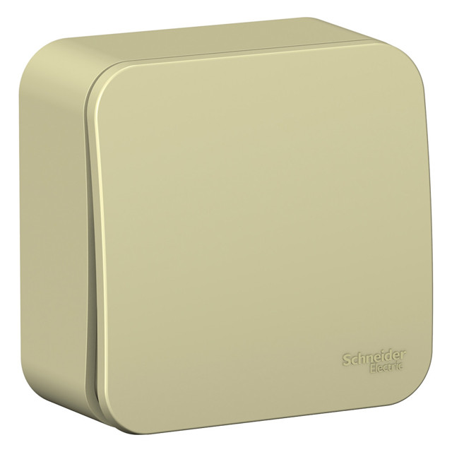 ���������� ����������� 1-��������� SYSTEME ELECTRIC Blanca 10� �������  