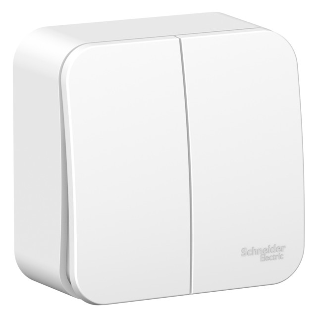���������� ����������� 2-��������� SYSTEME ELECTRIC Blanca 10A �����  