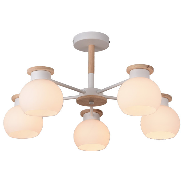 ���������� ������ ���������� SCHAFFNER Lavero 5x60�� E27 �����  