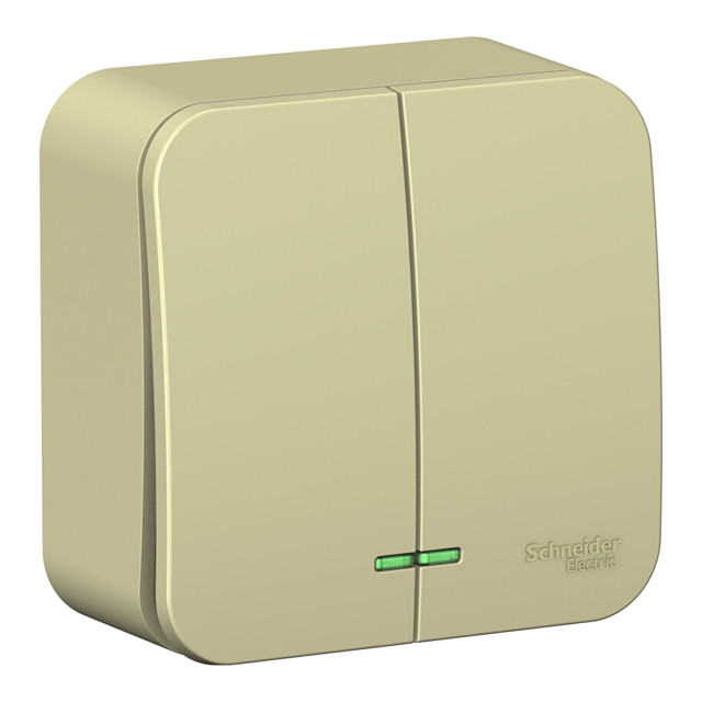 ���������� ����������� 2-��������� SYSTEME ELECTRIC Blanca 10A �/� �������  