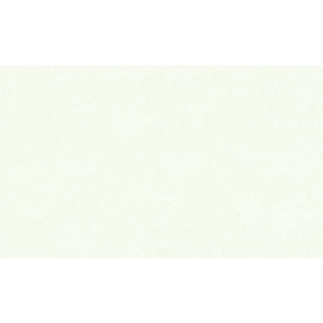 ���������� ���� ������ ��������� �� ������������ ������ 10,05�1,06�, ���.11239-04  