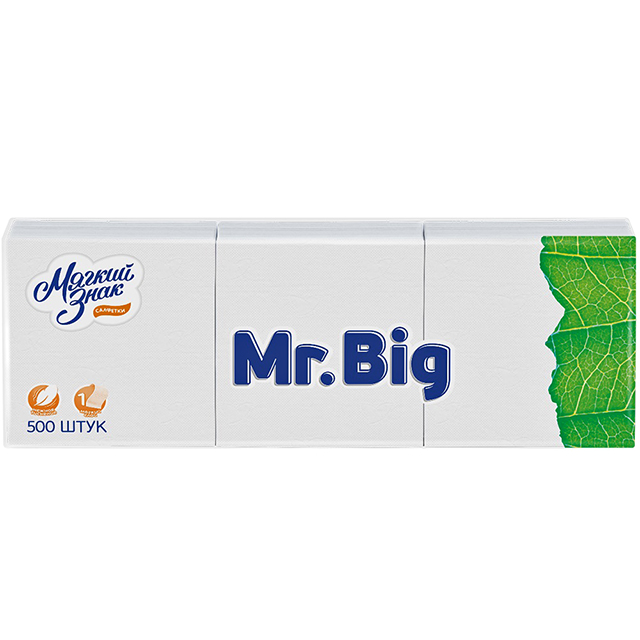 ���������� �������� ������ ���� Mr.Big 1-������� 24�24�� 500��  