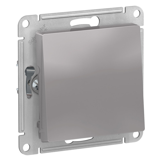 ���������� ������������� 1-��������� SYSTEME ELECTRIC Atlas Design ��������  