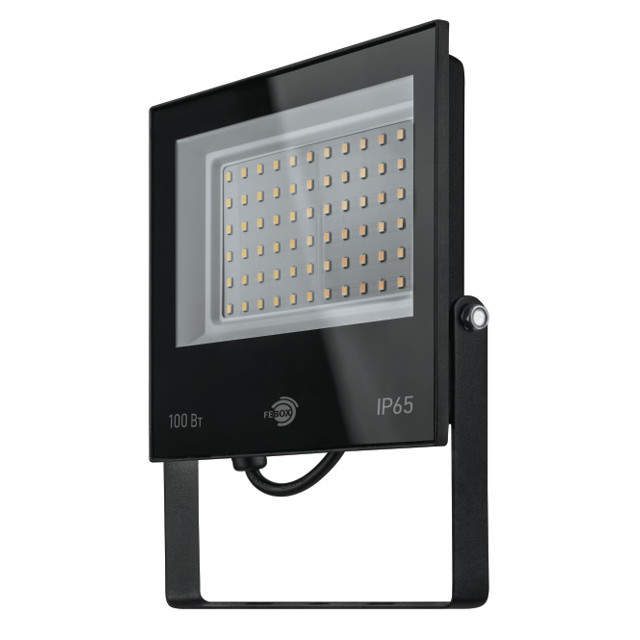 ���������� ��������� ������������ FEBOX 100�� 8000�� 6500� IP65 ������  
