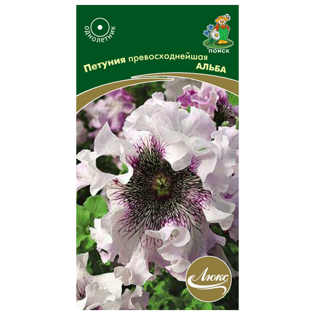 ���������� ������ ������� ��������������� ����� ����� 10��  