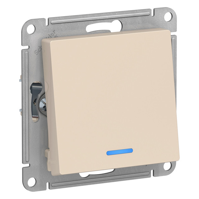 ���������� ������������� 1-��������� SYSTEME ELECTRIC Atlas Design 10� �/� �������  