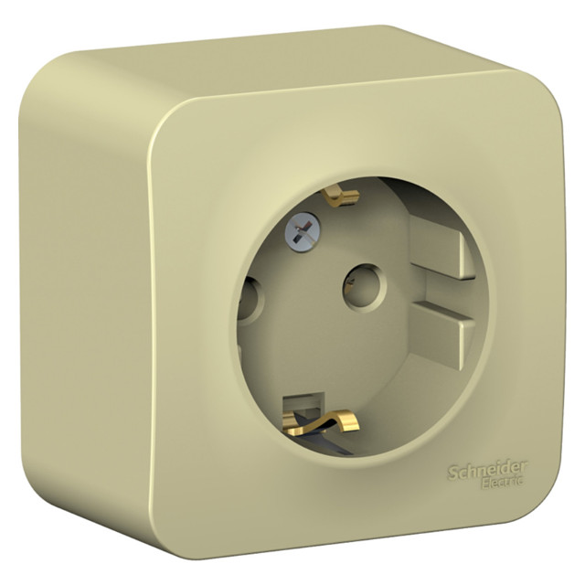 ���������� ������� 1 ���� SYSTEME ELECTRIC Blanca �/� �/� 16� �������  