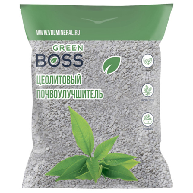 ���������� ������ GREEN BOSS ��������������� 1��  