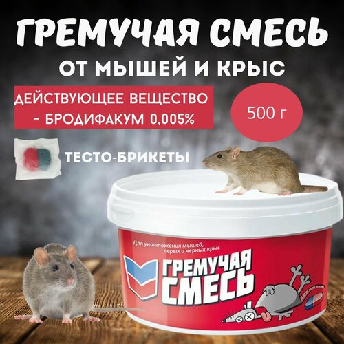 ���������� �������� ��� ����������� ����� � ���� �������� �����, ���� �����-�������, 500 �