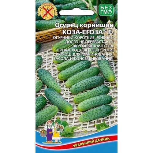 ���������� ������ ������ ����-����� F1 �������� 10�� ������������������ ������ (��������� ������)