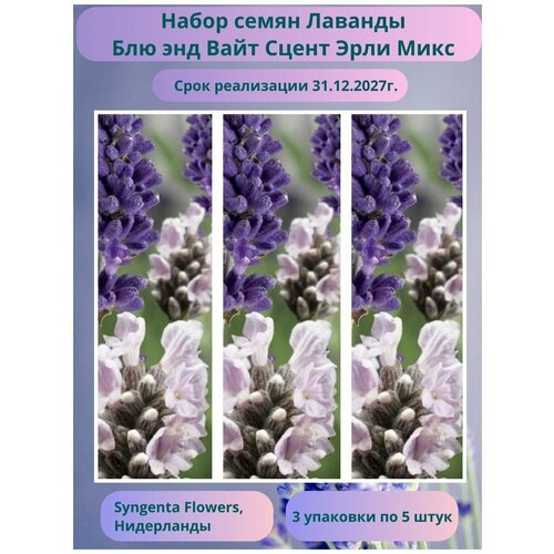 ���������� ������� ����������� ��� ��� ���� ����� ���� ���� 3 �������� �� 5 �����, Syngenta Flowers, ����������