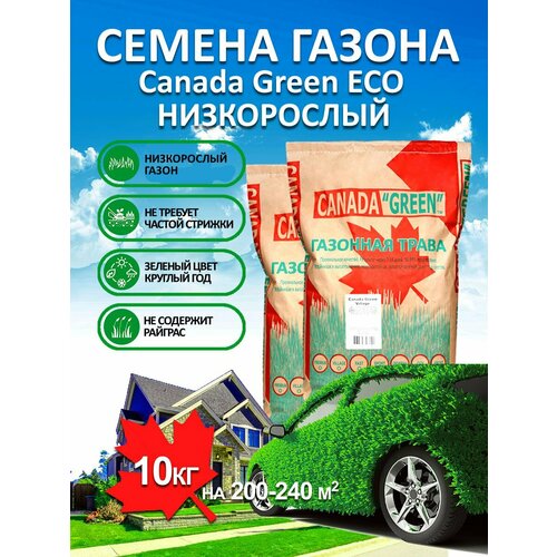 ���������� �������� ����� ������ ������ ���� ����������� ECO 10 ��/ ������, �������� ������