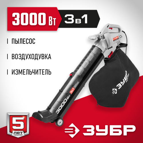 ���������� ������� ������� ���� ����-3000, �����