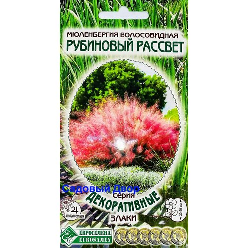 ���������� ����������� ��������� �������, 1 �����, ������ 5��, ����������