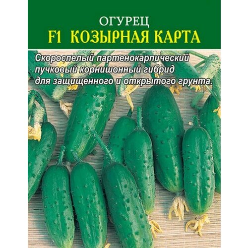 ���������� ������ ������ F1 �������� ����� 10 ��.