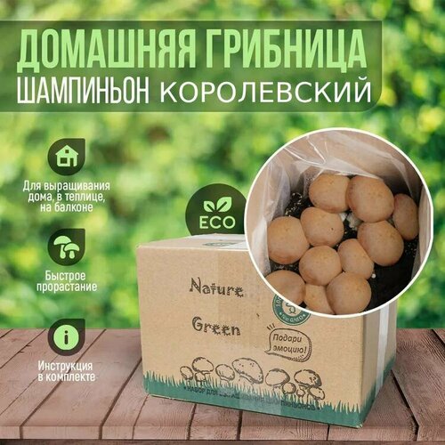 ���������� ������ / �������� �������� ����������� / ����������� ���������