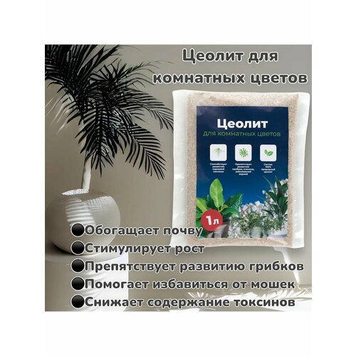 ���������� ������ ��������� ��� ��������� ������ 1 ����