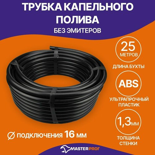 ���������� Masterprof ������ ��.060106, 25 �