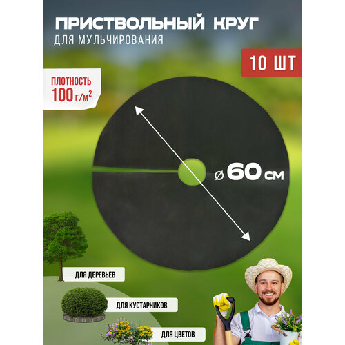 ���������� ������������ ���� ��� ������������� 100 ��/�2, ������� 60 ��, 10 �� ������