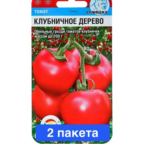 ���������� ������ ������ ��������� ��� 