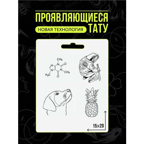 ���������� ���� ���������� �������������� ��������