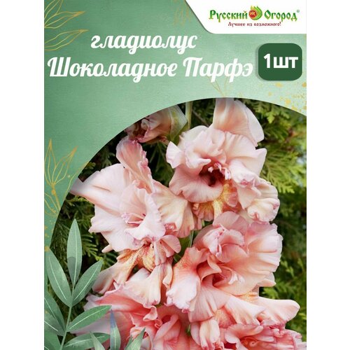 ���������� ��������� ������� ������ 